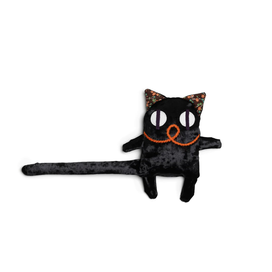 Serge le chat petit chat de velours noir