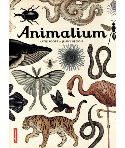 Animalium un livre de Jenny Broom & Katie Scott