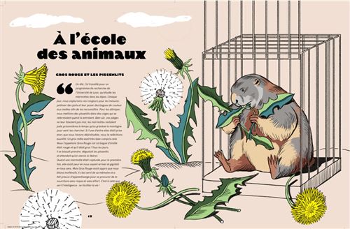 livre documentaire dans la tête des animaux fleur daugey jeanne detallante