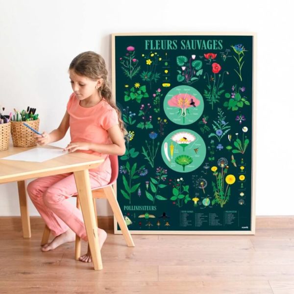 POPPIK-posters-enfants-stickers-botanique-fleurs-sauvages-naturaliste