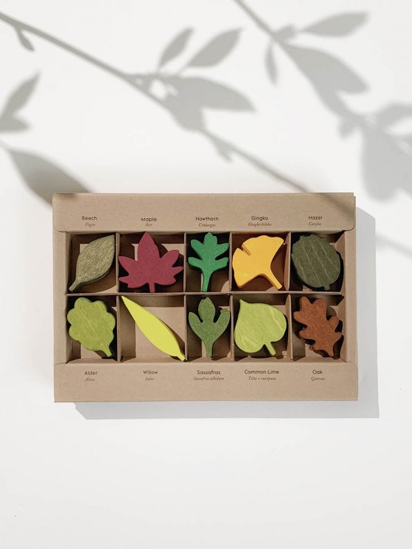 box containing wooden imitation tree leaves of many color