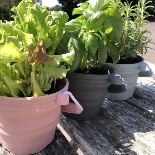 scrunch seedling pot jardinage 